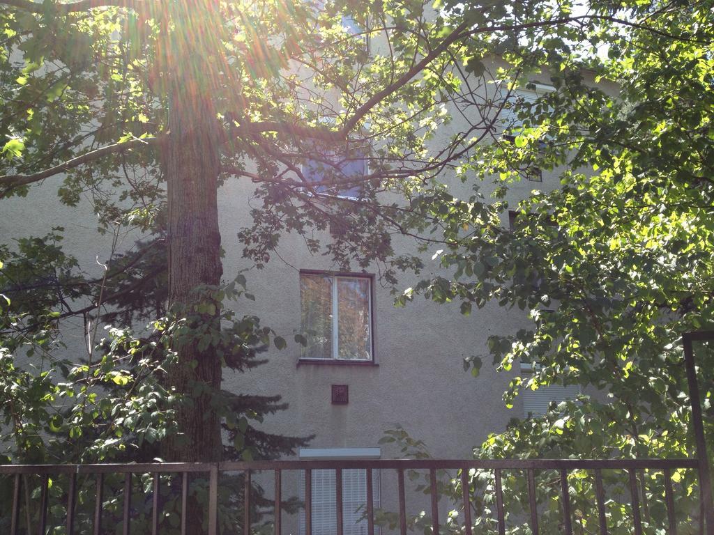 Platan Apartman Budapest Rum bild