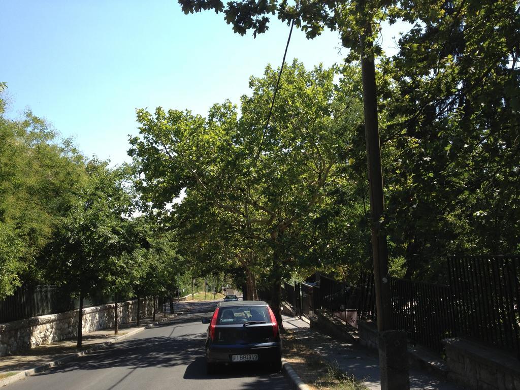 Platan Apartman Budapest Rum bild
